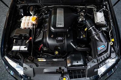 2010 Ford Falcon - Thumbnail